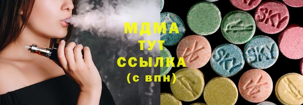 молекула духа Ладушкин