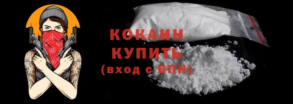 молекула духа Ладушкин