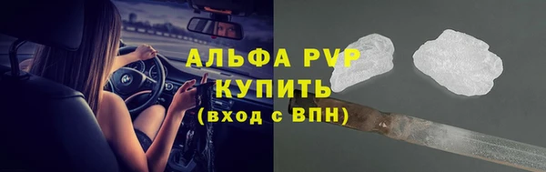 крисы Липки