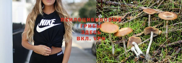 дурь Лихославль