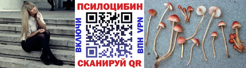 Псилоцибиновые грибы прущие грибы  KRAKEN ссылки  Лесозаводск 
